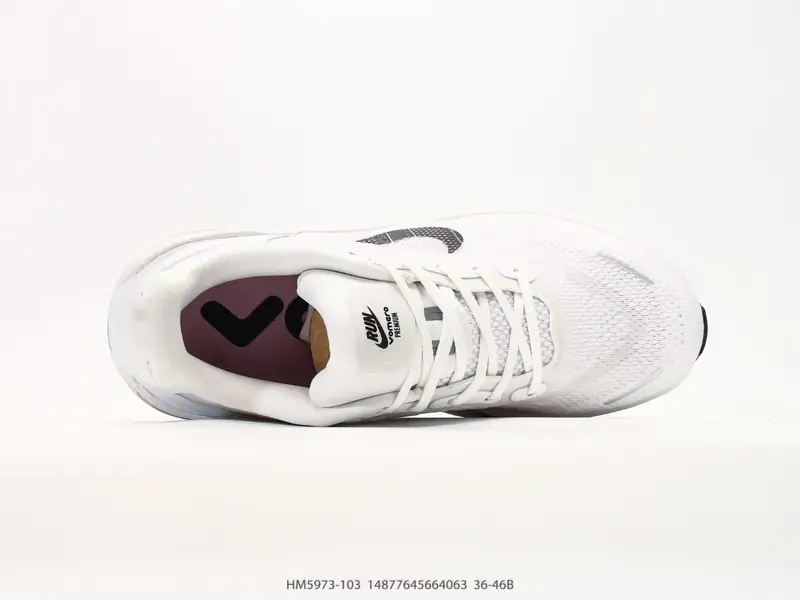 Nike Laufschuhe Rutschfest Niedrig Luftpolster HM5973-103 #14877645664063