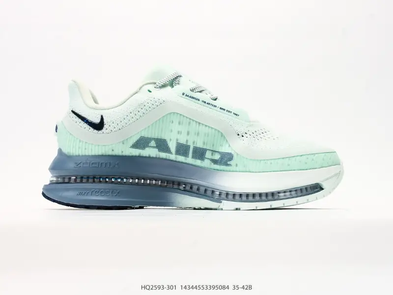 Nike Casual Shoes Cushioned Air Cushion HQ2593-301