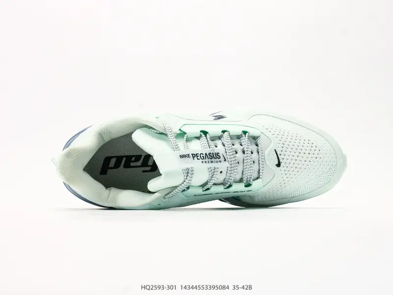 Nike Casual Shoes Cushioned Air Cushion HQ2593-301