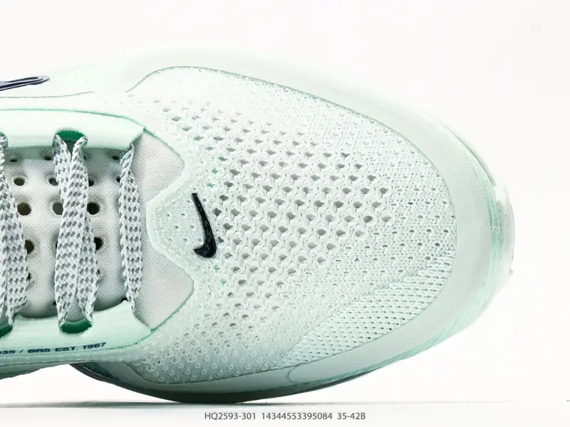 Nike Casual Shoes Cushioned Air Cushion HQ2593-301