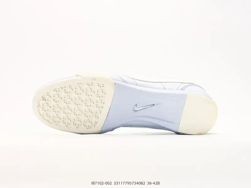 Nike Skateboardschuhe Niedrig Komfortabel IB7012-002 #33117795734082
