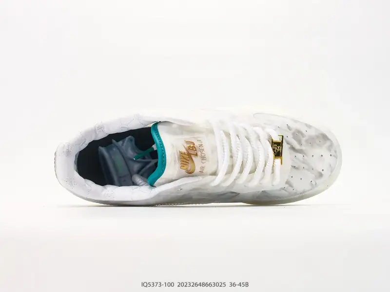 Nike Sepatu Board Kolaborasi Edisi Terbatas Low Top IQ5373-100 #20232648663025