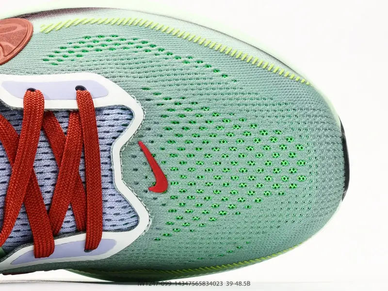 Nike Chaussures de running Respirant Résistant Tige en mesh IW1247-099 #1434756583403